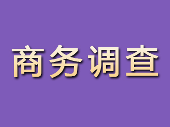 淇滨商务调查